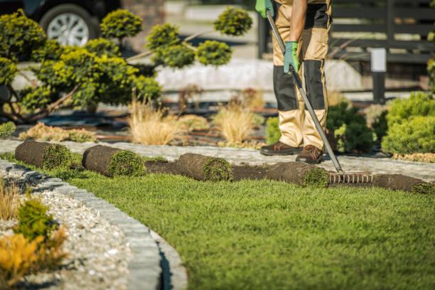 Asphalt driveway service