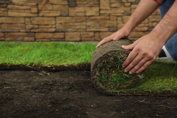 Lawn care maintenance