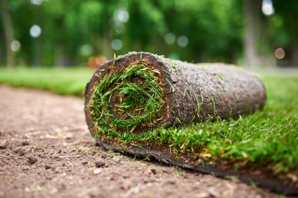 Outdoor and yard maintenance